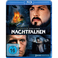 Nachtfalken