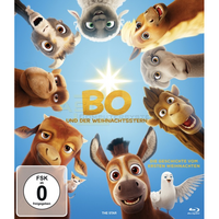 Bo und der Weihnachtsstern
