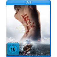 Das 13. Zeichen