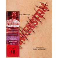 Andy Warhols Frankenstein