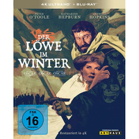 Der L&ouml;we im Winter