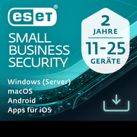 Small Business Security