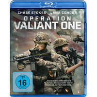 Operation Valiant One