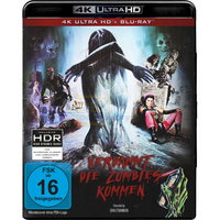 Verdammt, die Zombies kommen