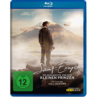Saint Exupéry Die Geschichte vor dem kleinen Prinzen