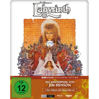 Die Reise ins Labyrinth