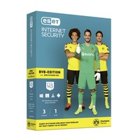 Internet Security (BVB-Edition)