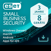 Small Business Security