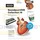 Soundpool DVD Collection 16 Italienisch