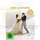 Der Leopard (DVD)