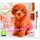 Nintendogs Toy Poodle + New Friends (3DS)