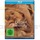 Picknick am Valentinstag (Blu-ray)