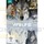 W&Ouml;LFE - Die sch&ouml;nsten Filme (3 DVDs)