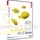 OpenOffice 4.1.3 Starter