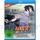 Naruto Shippuden - Folge 582-592