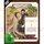Gosick Vol. 1