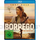 Borrego