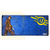 DPI Merchandising Fallout 